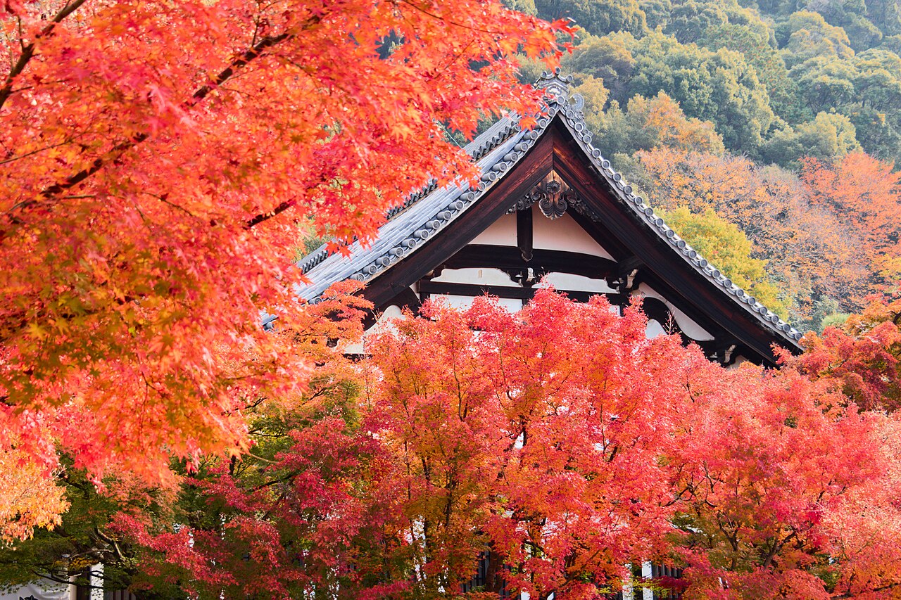 Autumn leaves at Eikando Zenrinji Temple, Kyoto, Japan