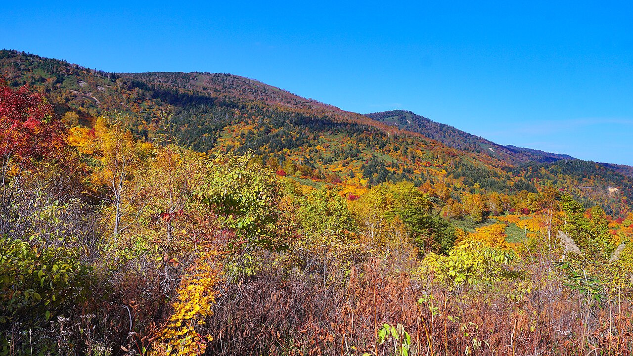 Autumn leaves at Hachimantai Aspite Line, Hachimantai / Kazuno (Iwate-Akita border), Japan