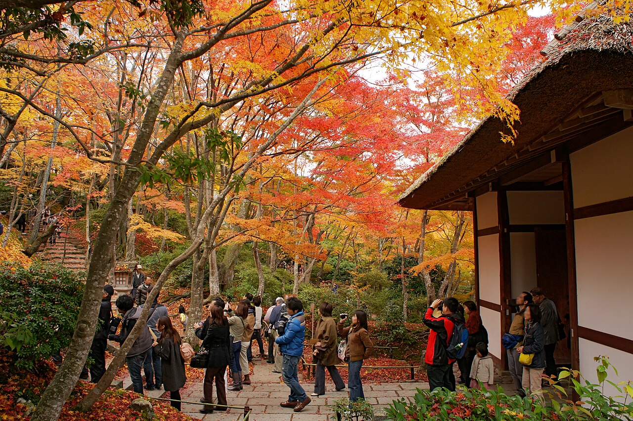 Autumn leaves at Jojakko-ji Temple, Kyoto, Japan