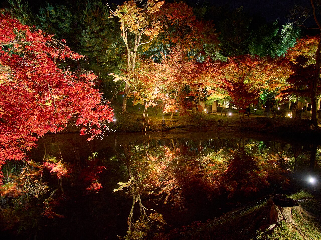 Autumn leaves at Kodai-ji Temple, Kyoto, Japan