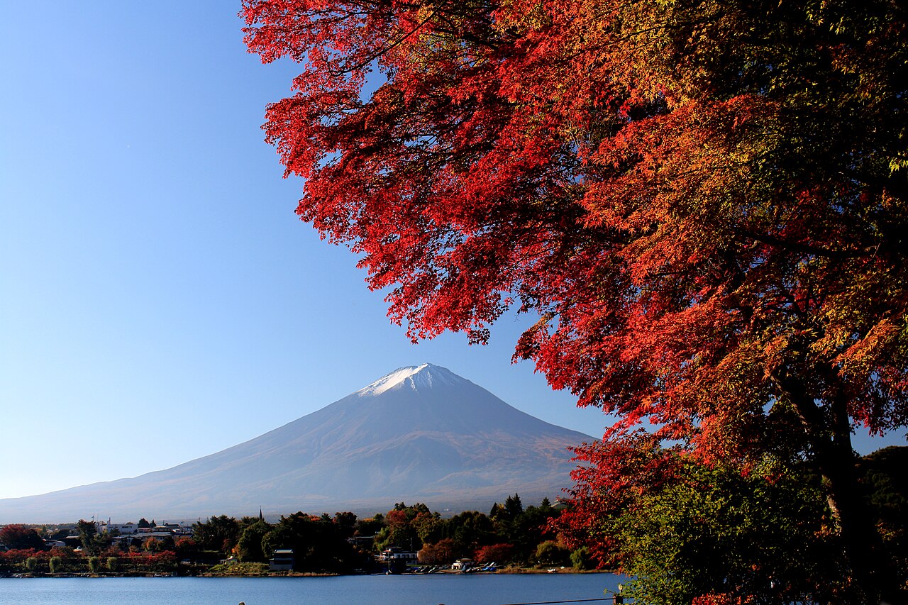 Autumn leaves at Lake Kawaguchi Momiji Corridor, Fujikawaguchiko, Japan