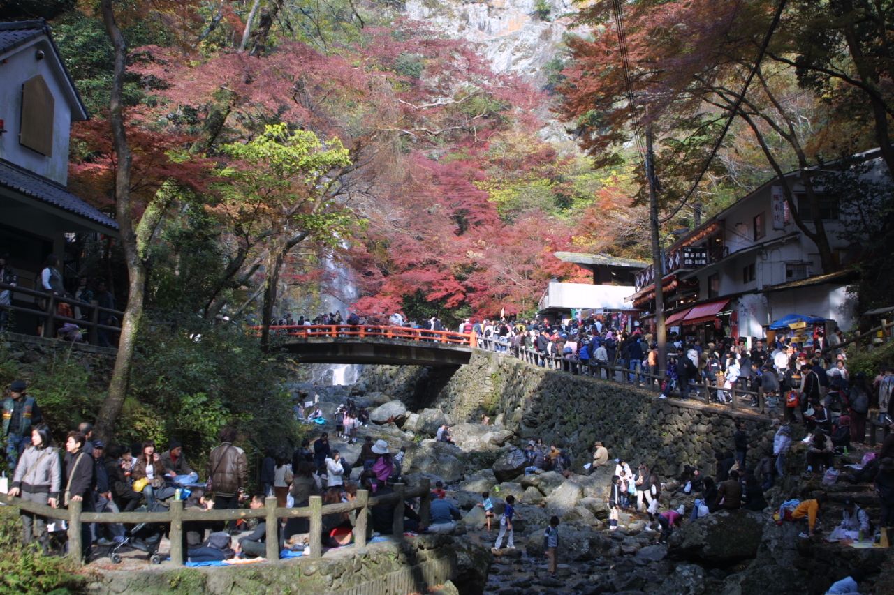 Autumn leaves at Minoo Falls / Minoo Park, Minoo, Japan