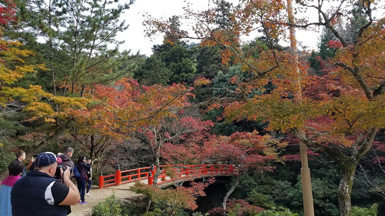 Autumn leaves at Miyajima Momijidani Park, Hatsukaichi (Miyajima), Japan