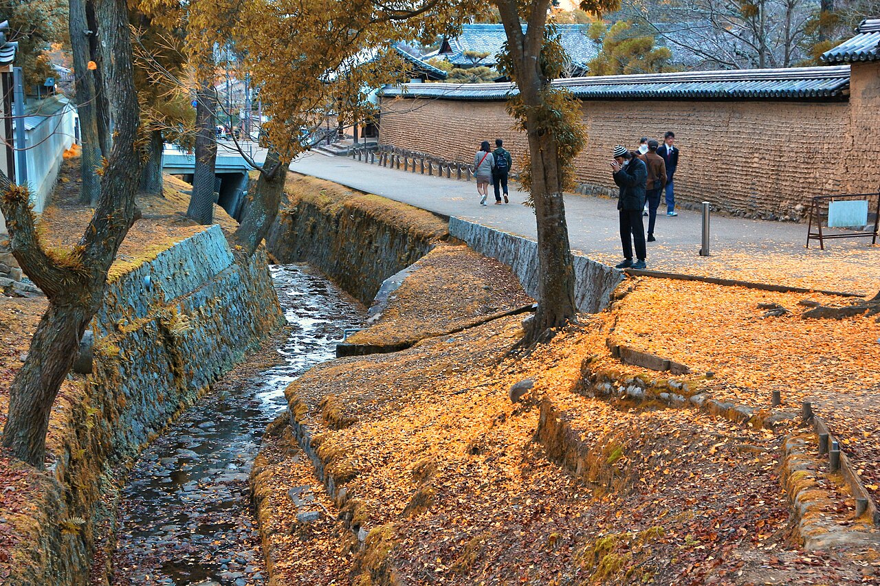 Autumn leaves at Nara Park, Nara, Japan