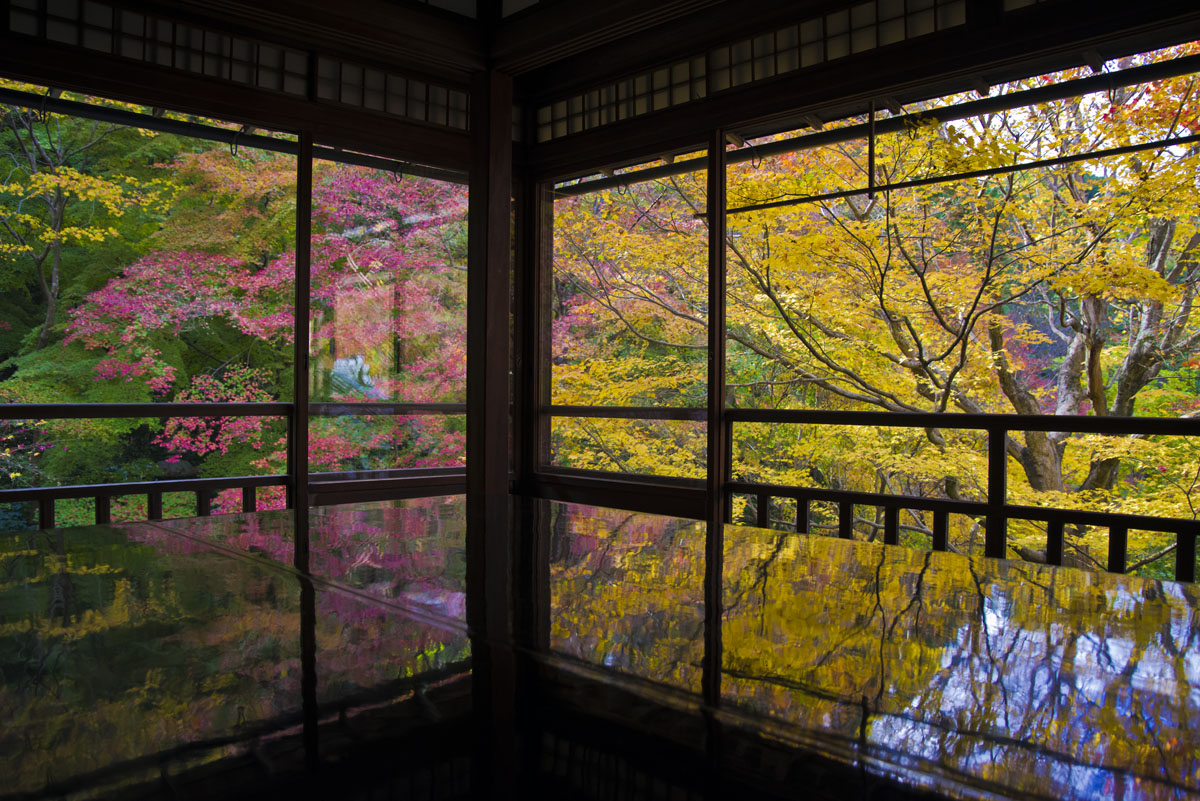 Autumn leaves at Ruriko-in Temple, Kyoto, Japan