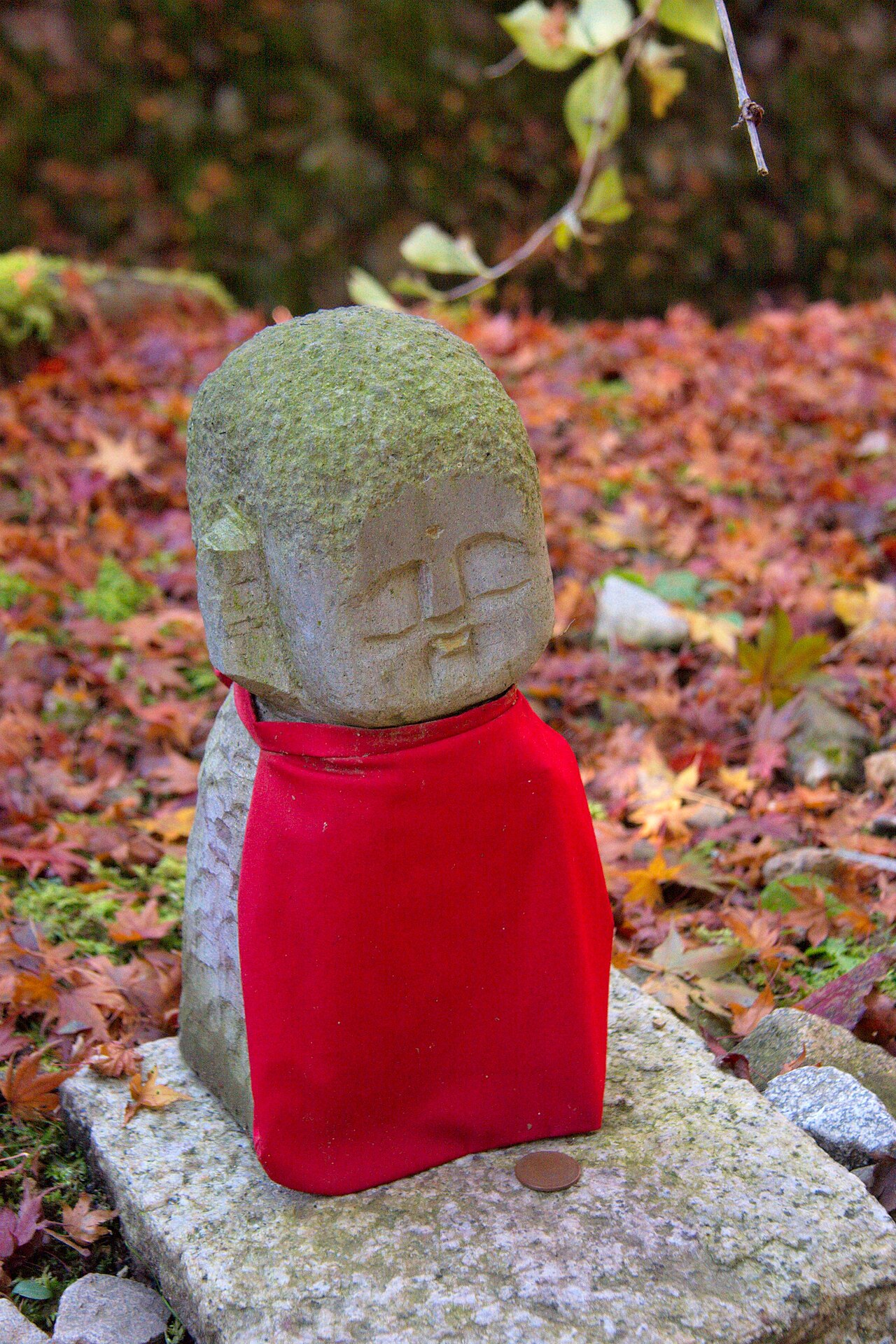 Autumn leaves at Sanzen-in Temple, Kyoto, Japan