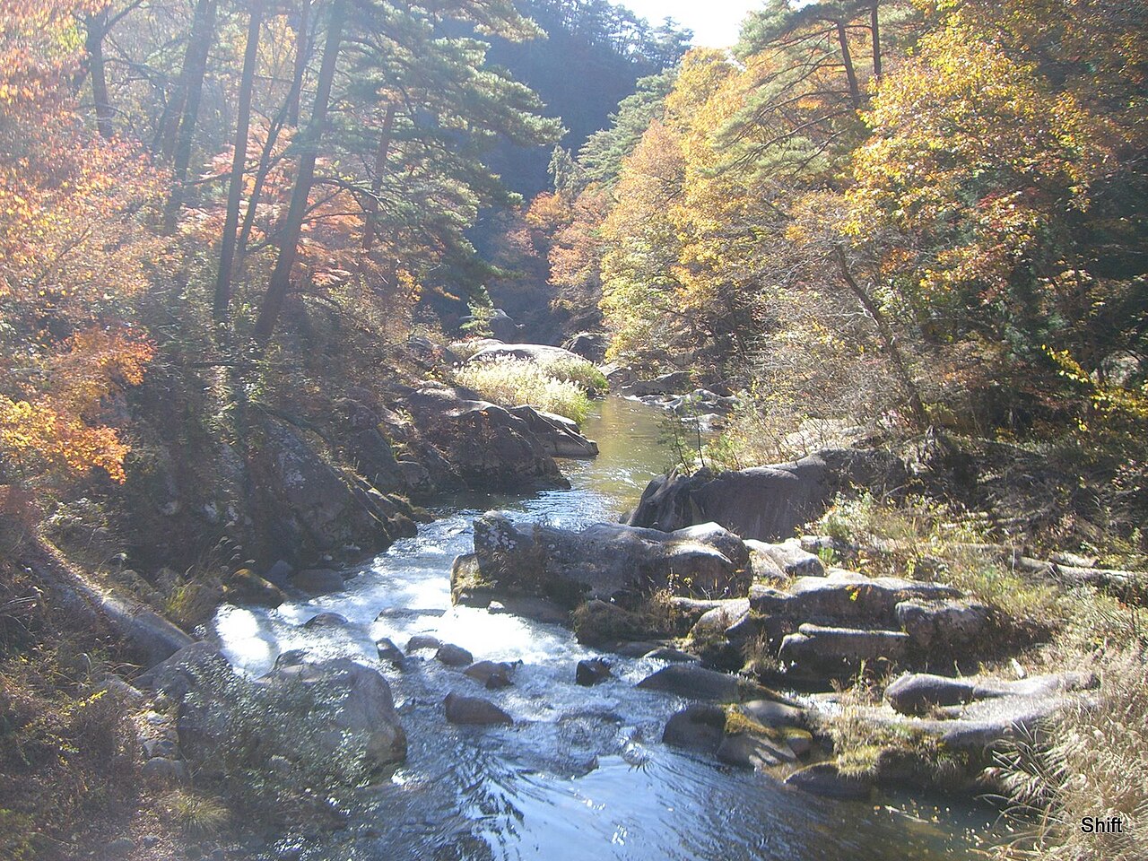 Autumn leaves at Shosenkyo Gorge, Kofu, Yamanashi, Japan