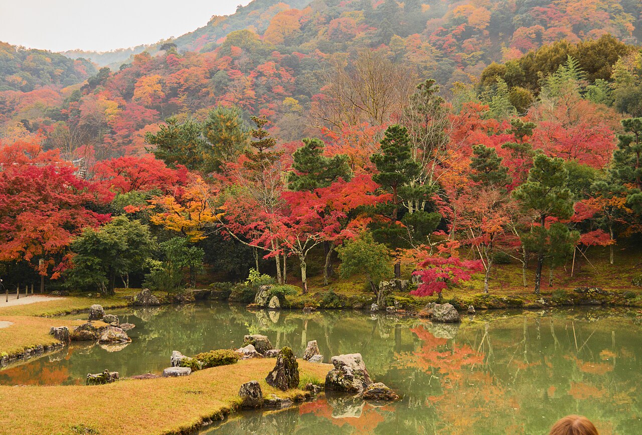 Autumn leaves at Tenryu-ji Temple, Kyoto, Japan