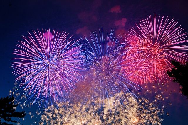 The 22nd Noshiro Port Festival Fireworks (Noshiro no Hanabi)